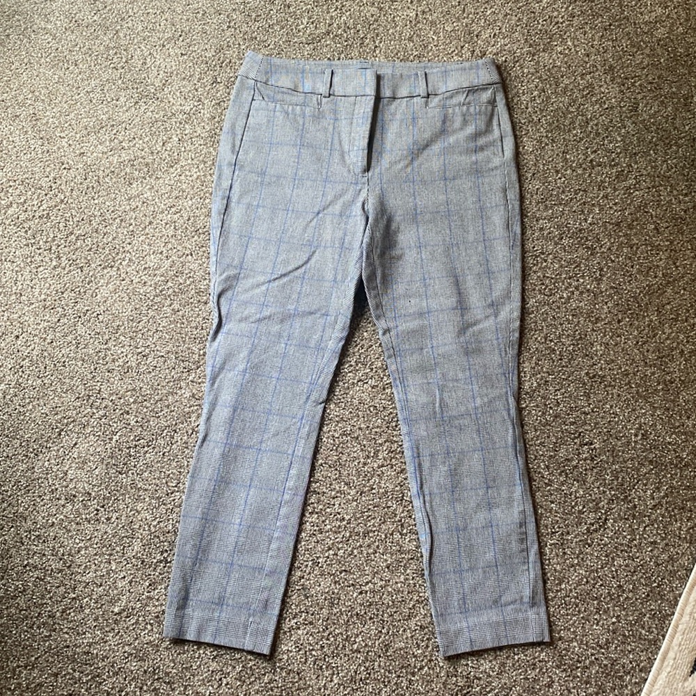 loft dress pants